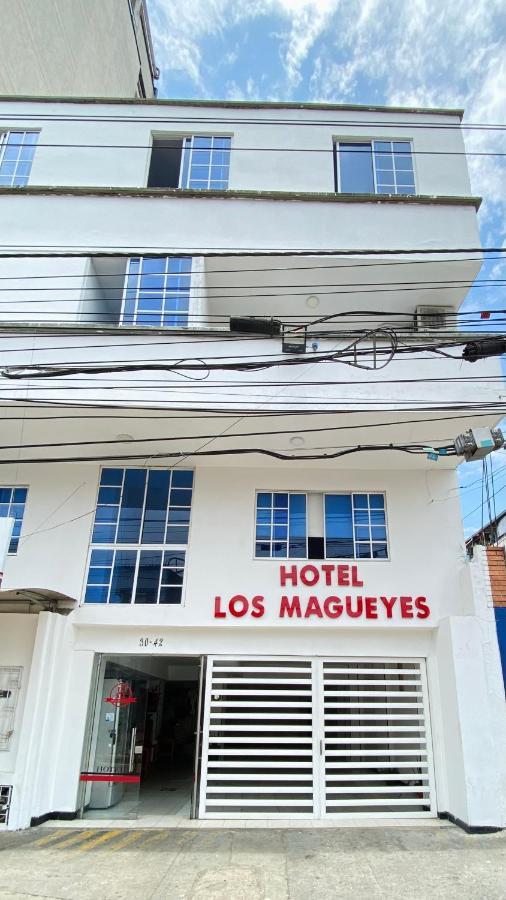 Hotel Los Magueyes Bucaramanga Exteriör bild