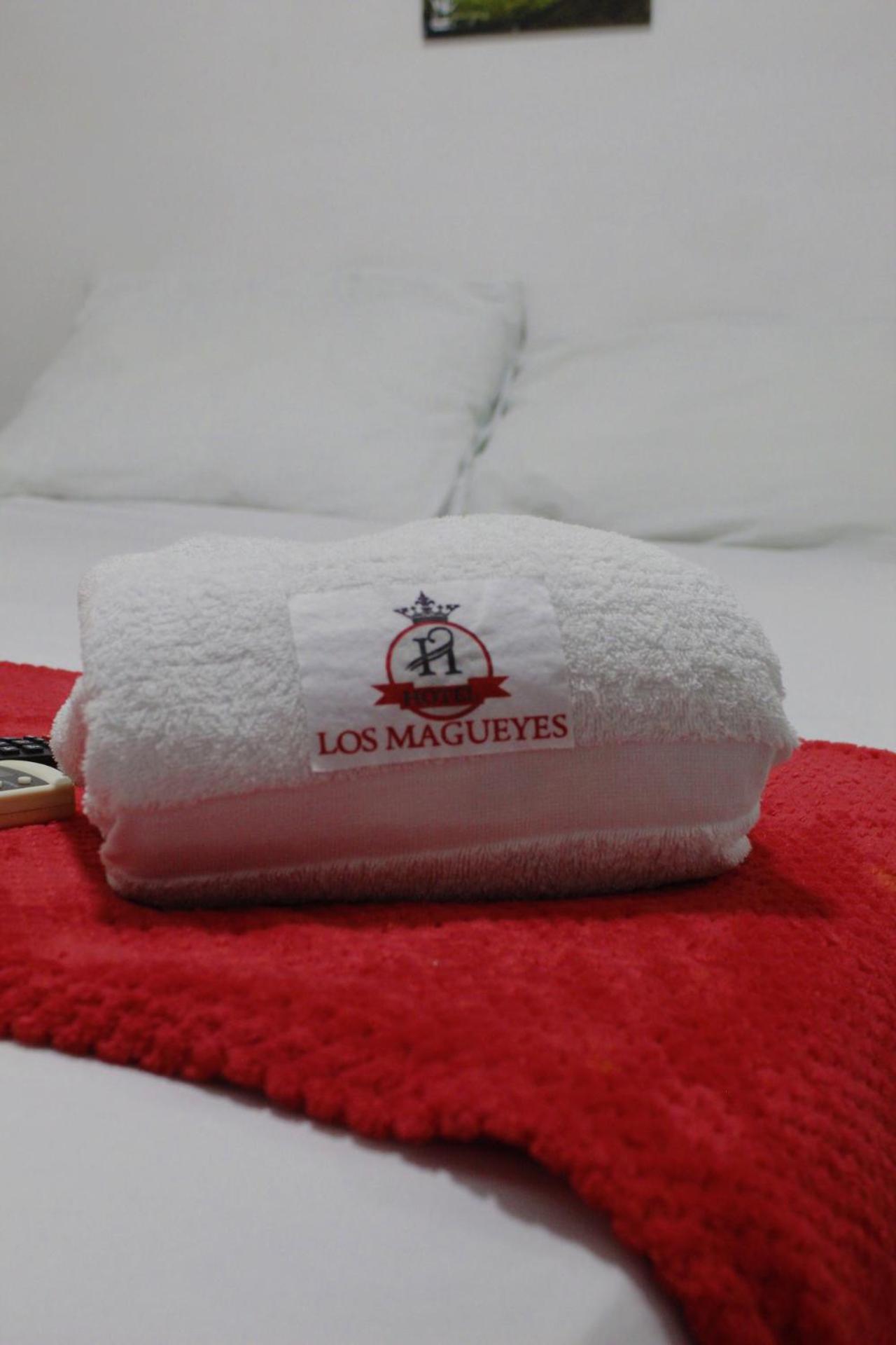 Hotel Los Magueyes Bucaramanga Exteriör bild